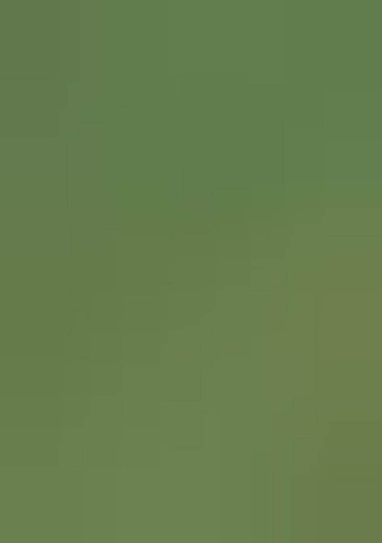 Green Woven Design Tissue Silk Saree