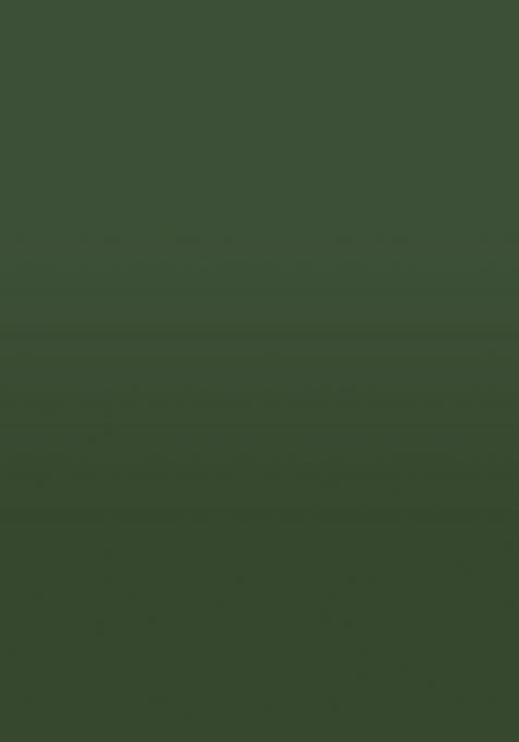 Green Printed Silk Blend Saree