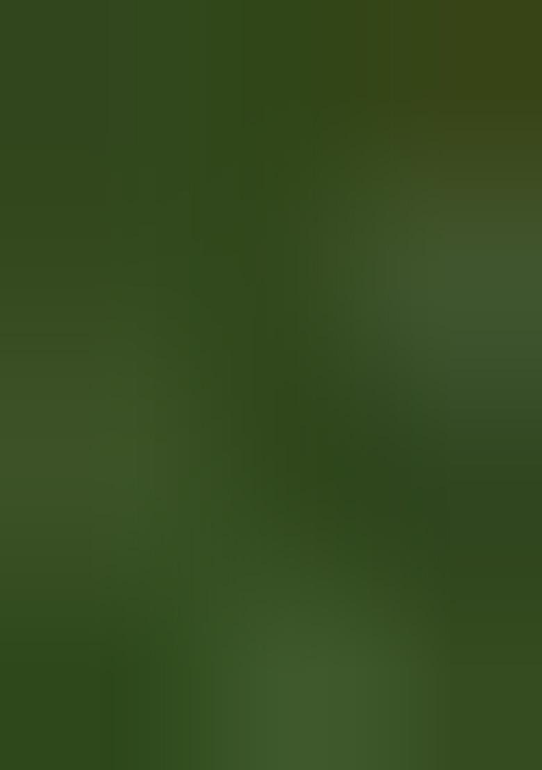 Green Woven Design Pure Silk Saree