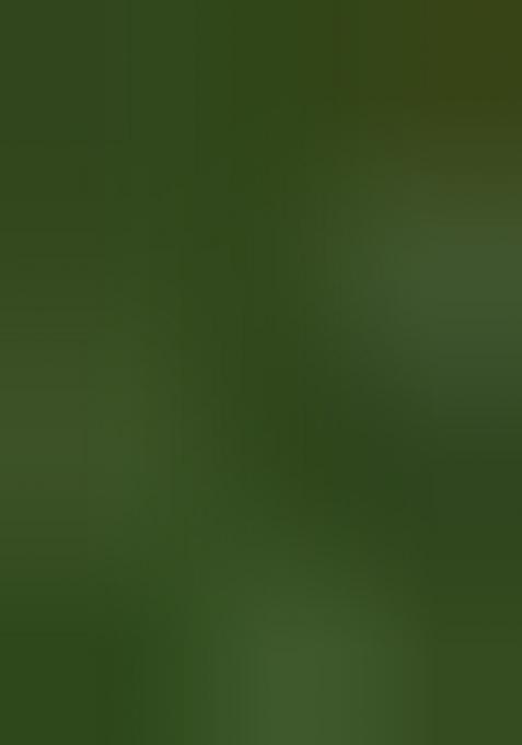 Green Woven Design Pure Silk Saree