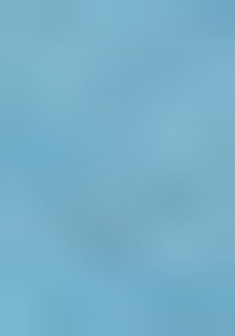 Blue Printed Polyester Saree