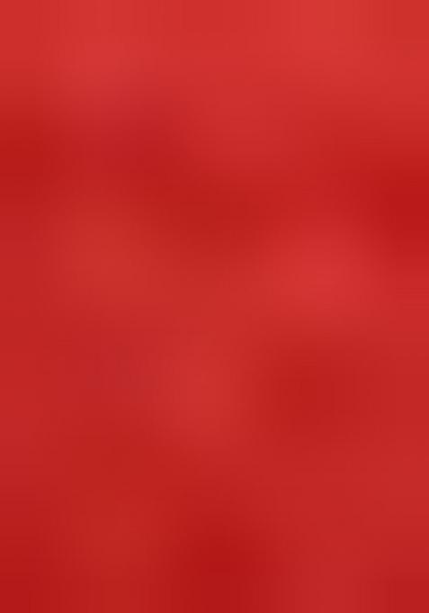 Brown Printed Polyester Saree