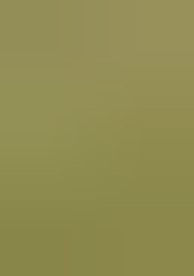 Olive Printed Chiffon Saree