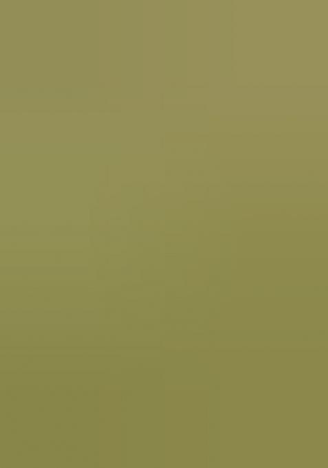 Olive Printed Chiffon Saree