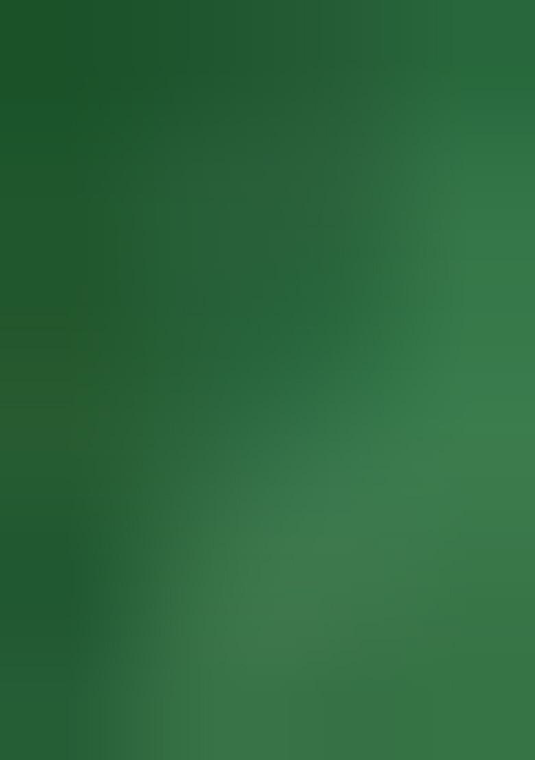 Green Printed Chiffon Saree