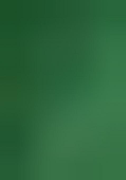 Green Printed Chiffon Saree