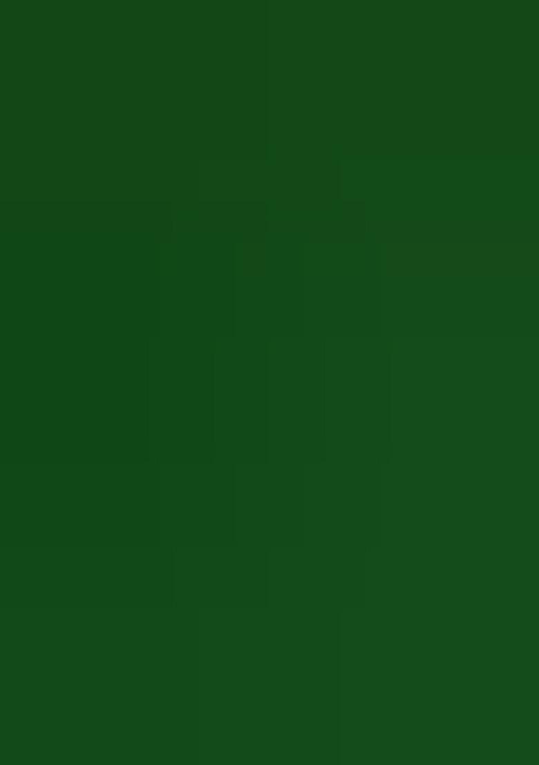 Green Printed Silk Blend Saree