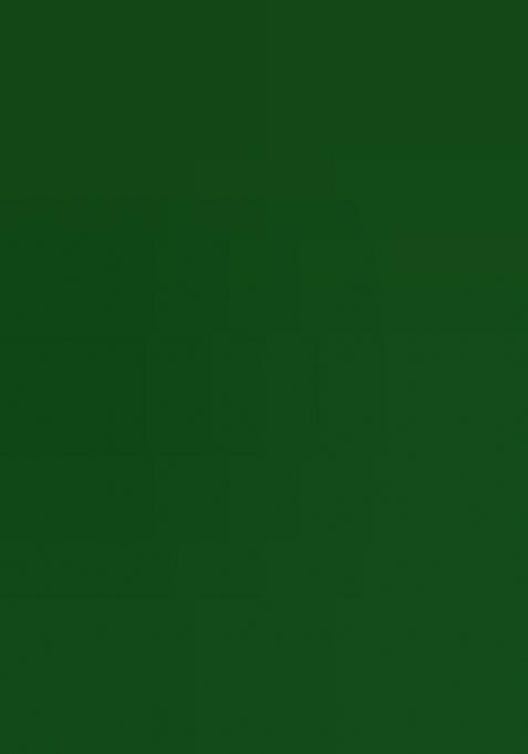 Green Printed Silk Blend Saree