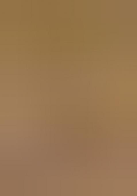 Beige Printed Tissue Silk Saree