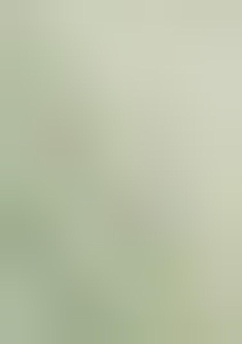 Olive Printed Kanjeevaram Silk Saree