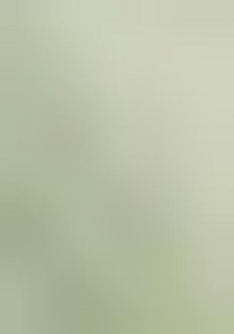 Olive Printed Kanjeevaram Silk Saree