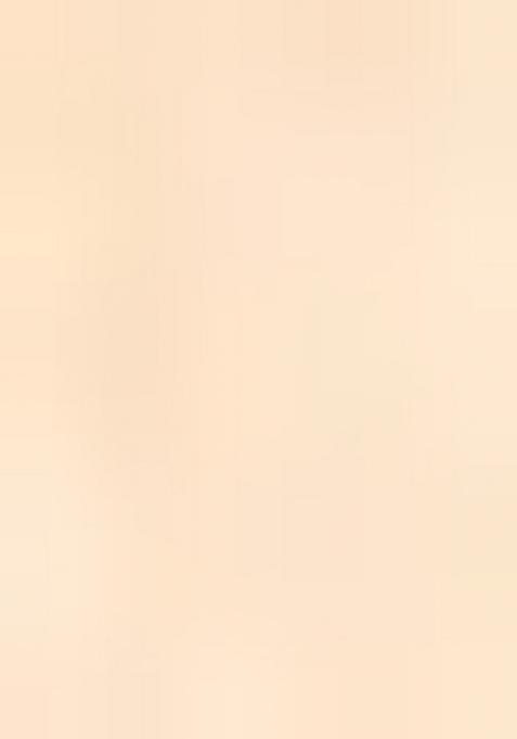 Beige Printed Tusser Silk Saree