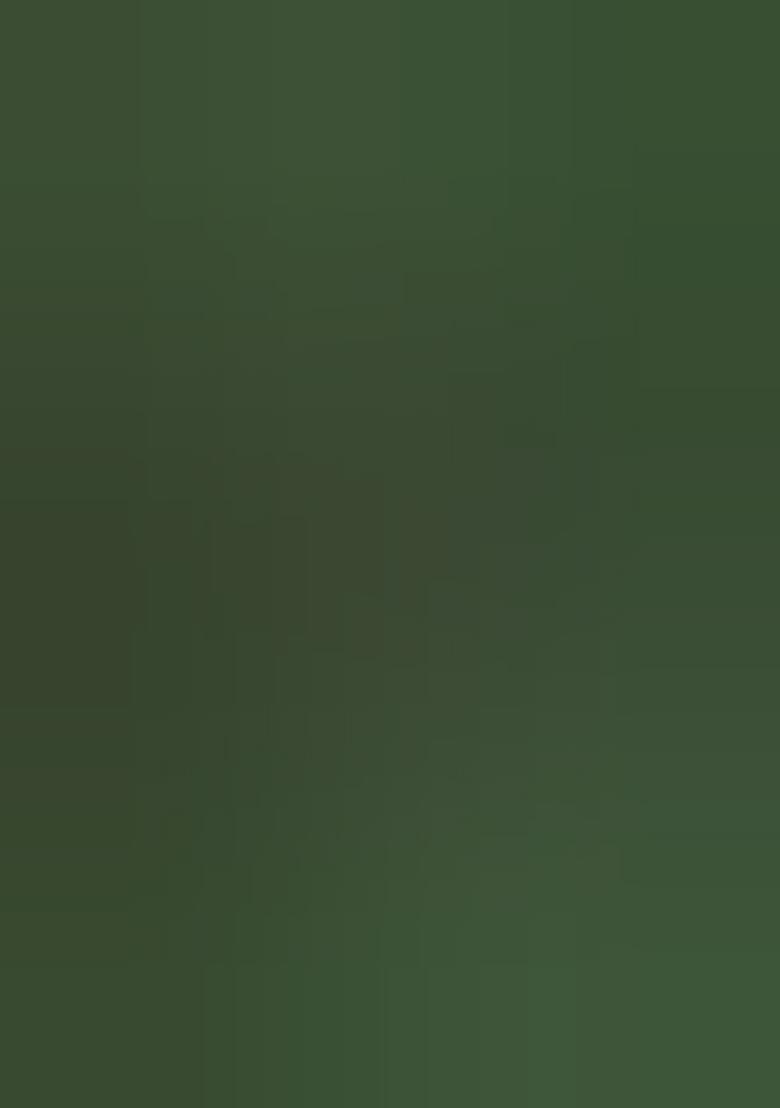 Green Printed Silk Blend Saree