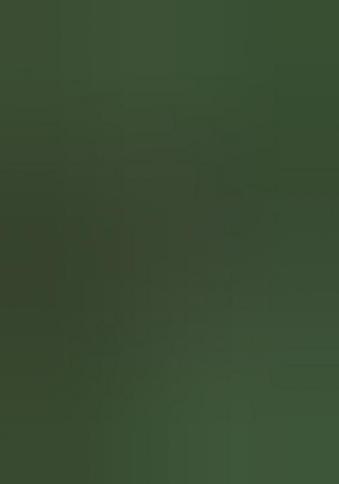 Green Printed Silk Blend Saree