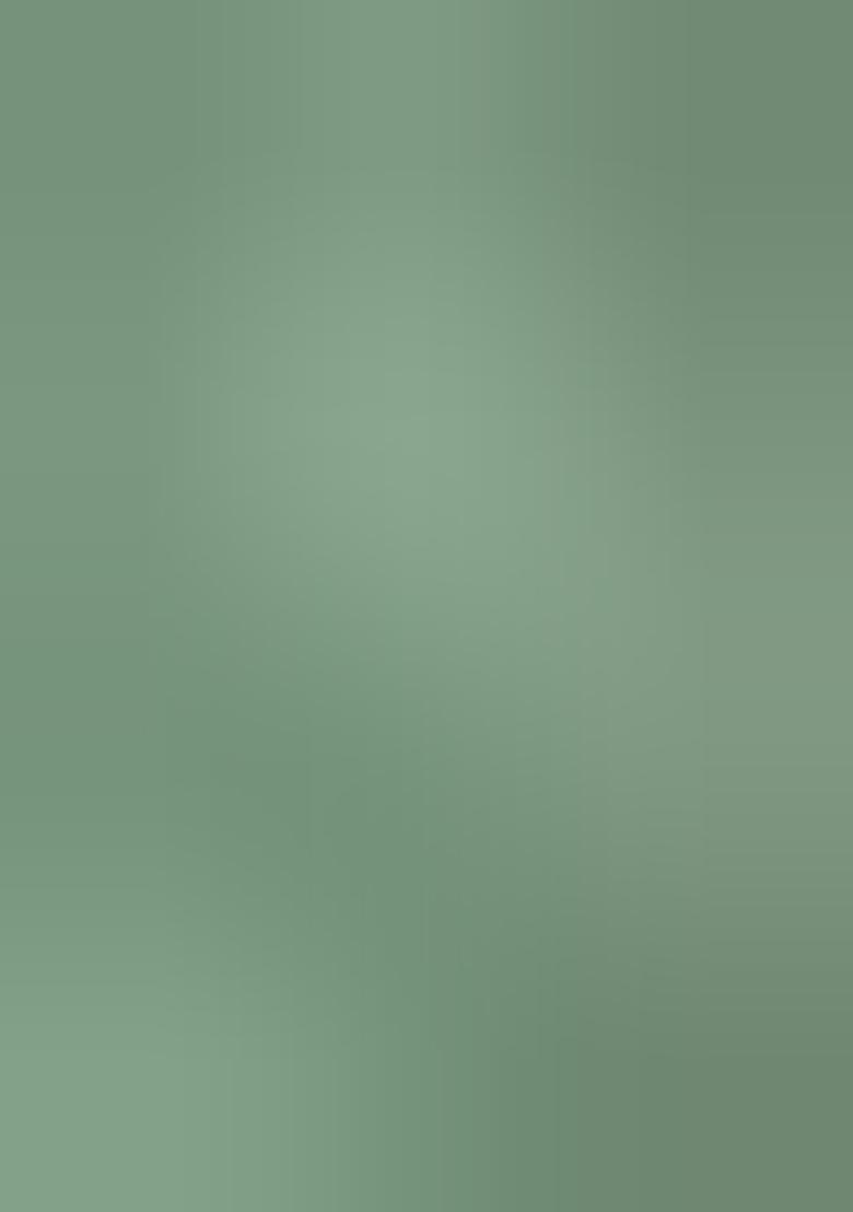 Green Printed Silk Blend Saree