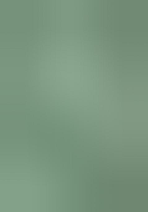 Green Printed Silk Blend Saree