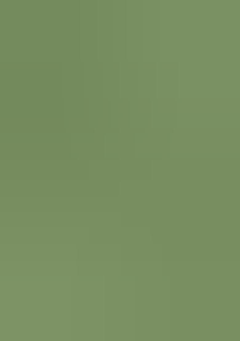 Green Printed Silk Blend Saree