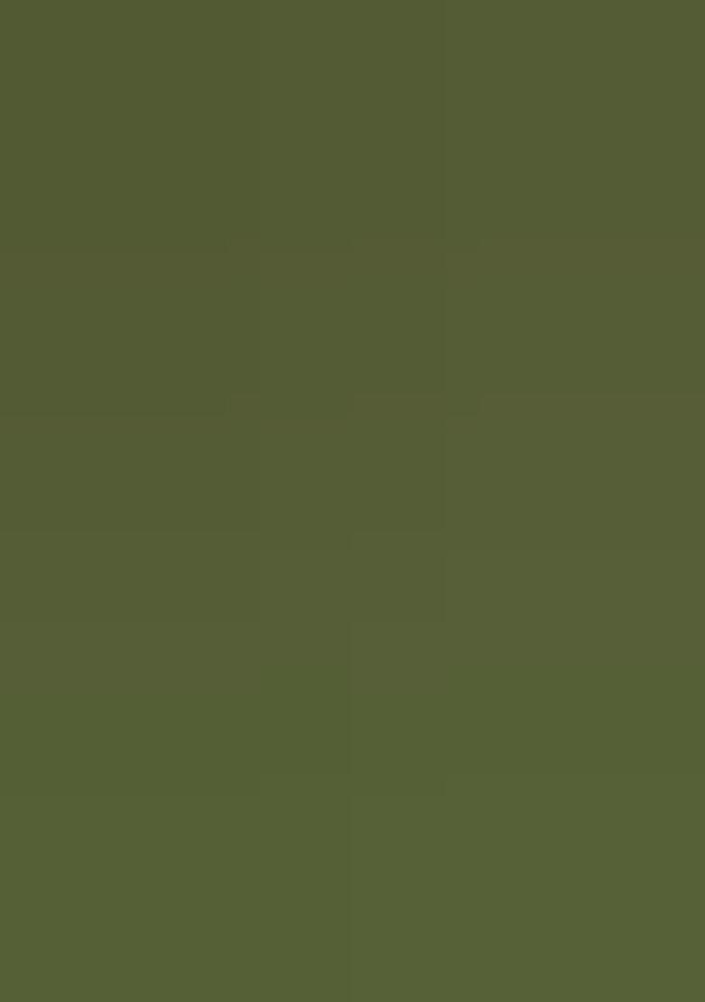 Green Woven Design Brocade Saree