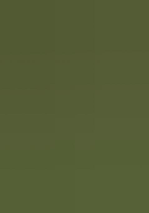 Green Woven Design Brocade Saree