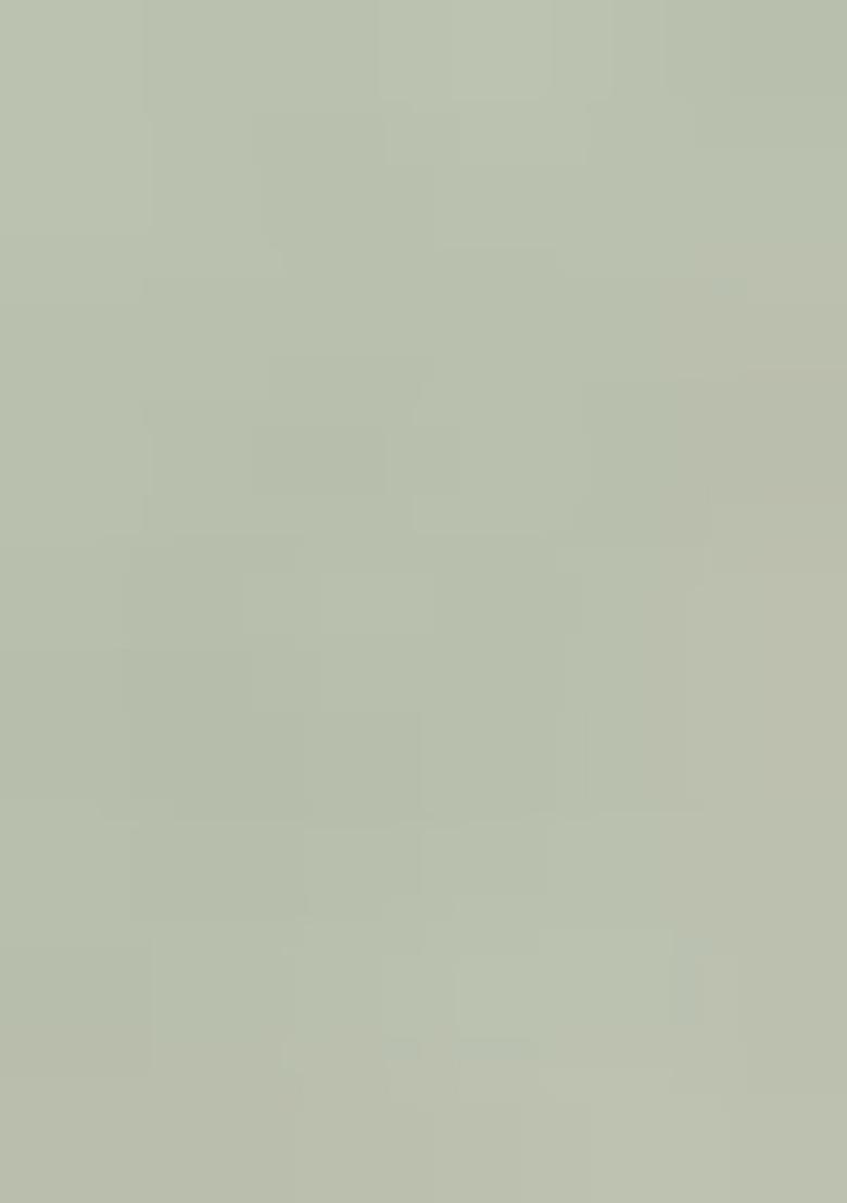 Green Printed Silk Blend Saree