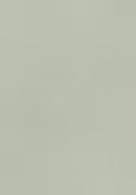 Green Printed Silk Blend Saree