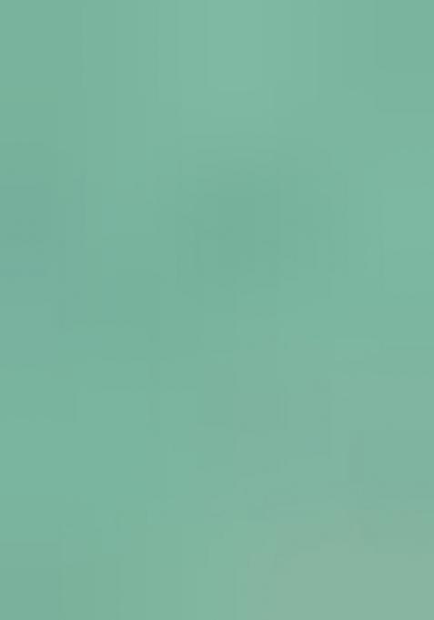 Green Printed Silk Blend Saree