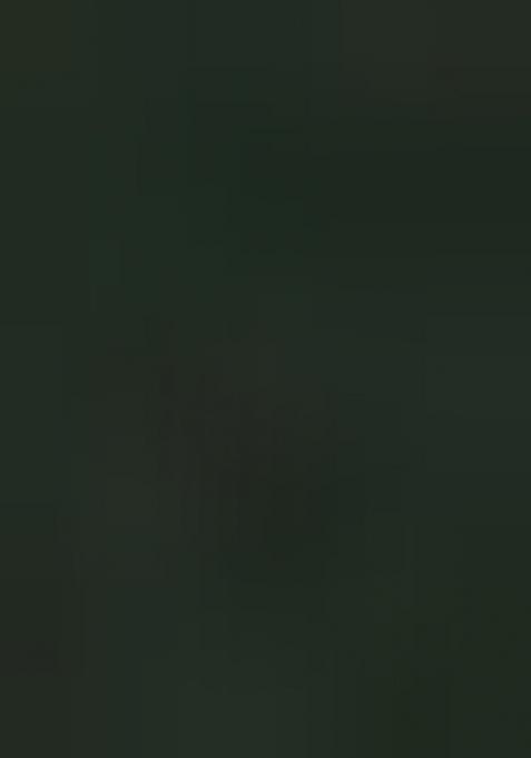 Green Woven Design Organza Silk Saree