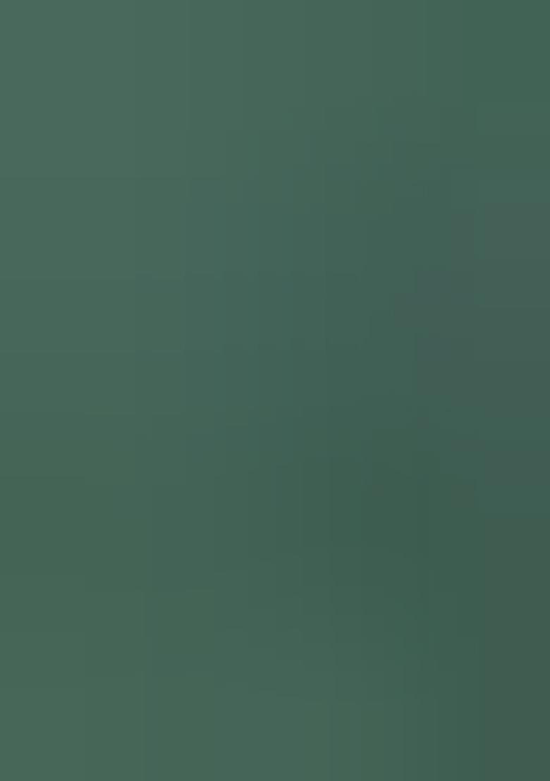 Green Printed Silk Blend Saree