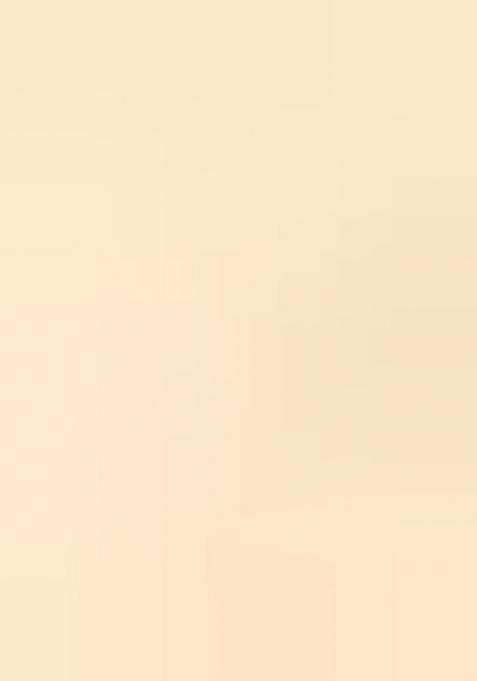 Multicolor Printed Pure Silk Saree