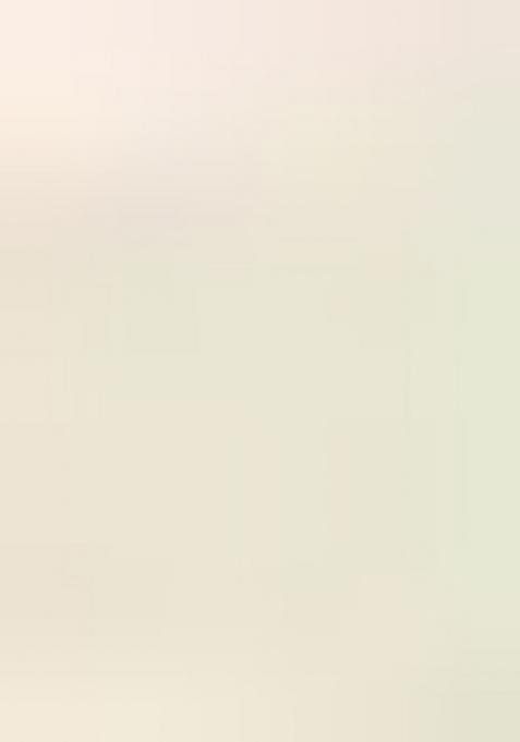 Off White Woven Design Pure Cotton Saree