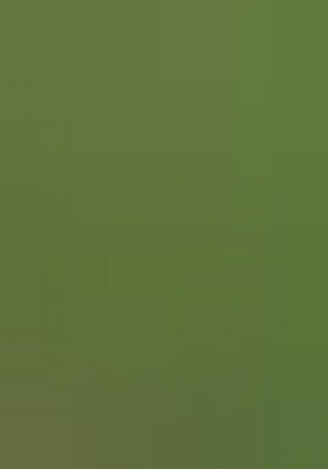 Green Woven Design Brocade Saree