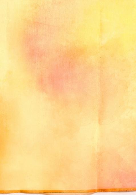 Yellow Printed Organza Saree