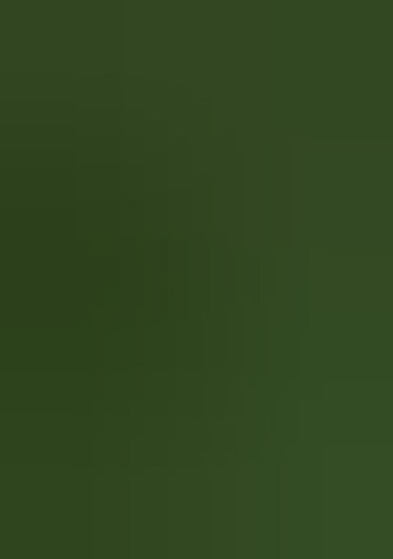 Green Woven Design Silk Blend Saree