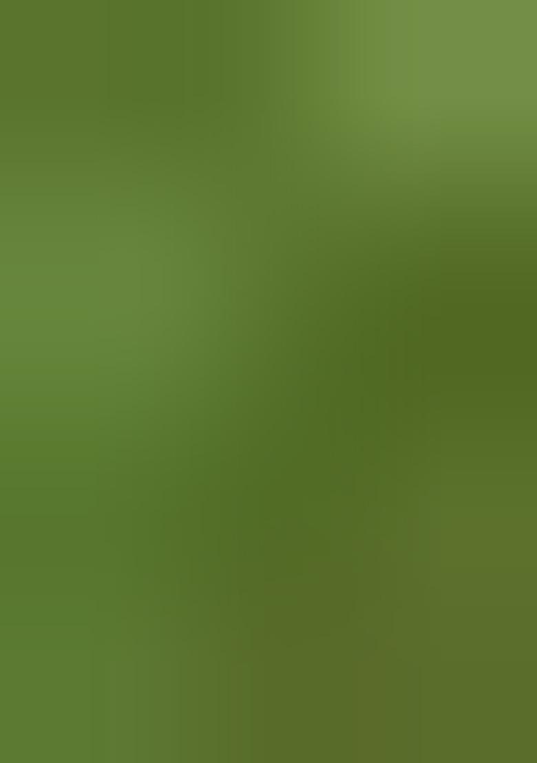 Green Woven Design Tissue Silk Saree