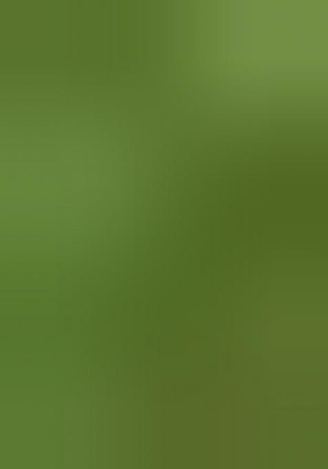 Green Woven Design Tissue Silk Saree