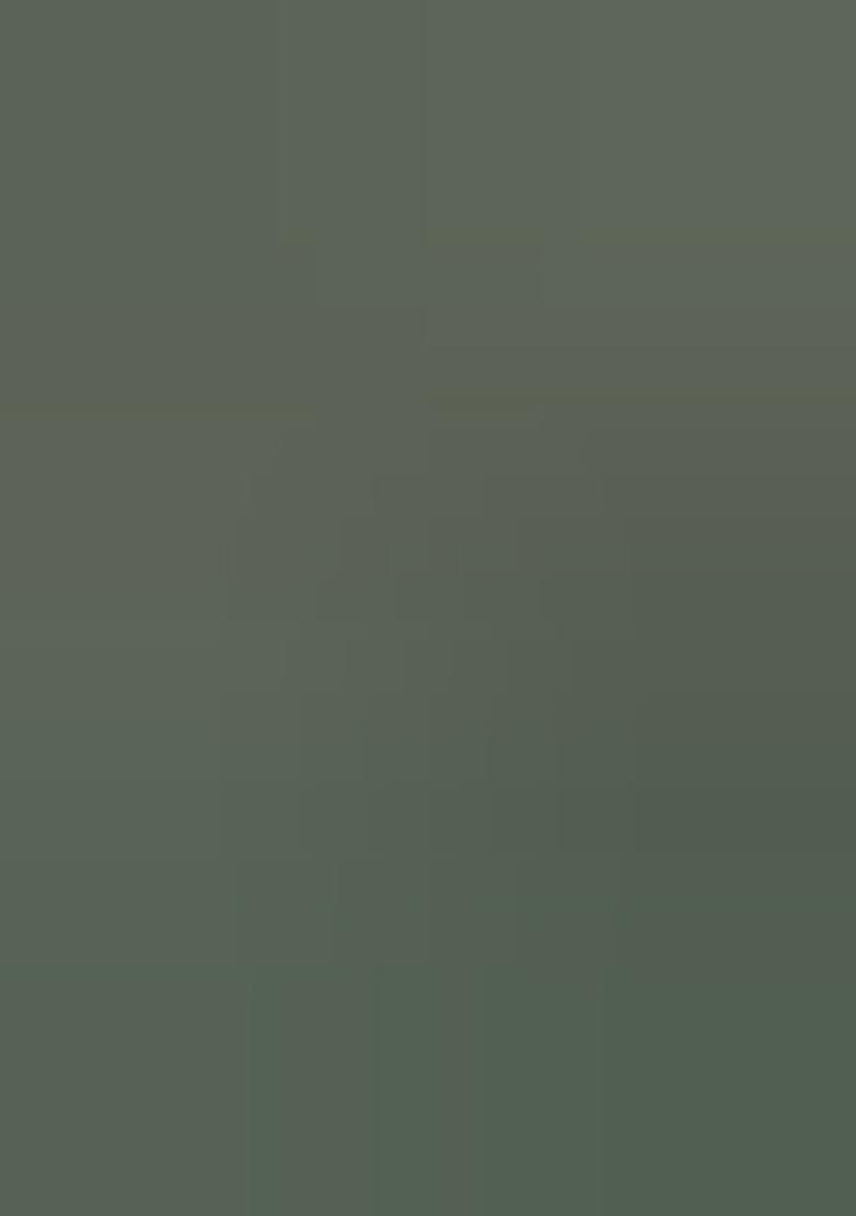 Multicolor Printed Cotton Blend Saree