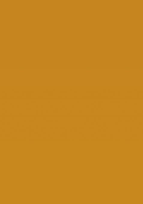 Mustard Embellished Pure Silk Saree