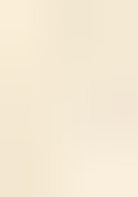 Cream Printed Chiffon Saree