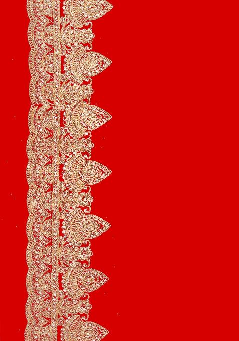 Red Embroidered Georgette Saree Set