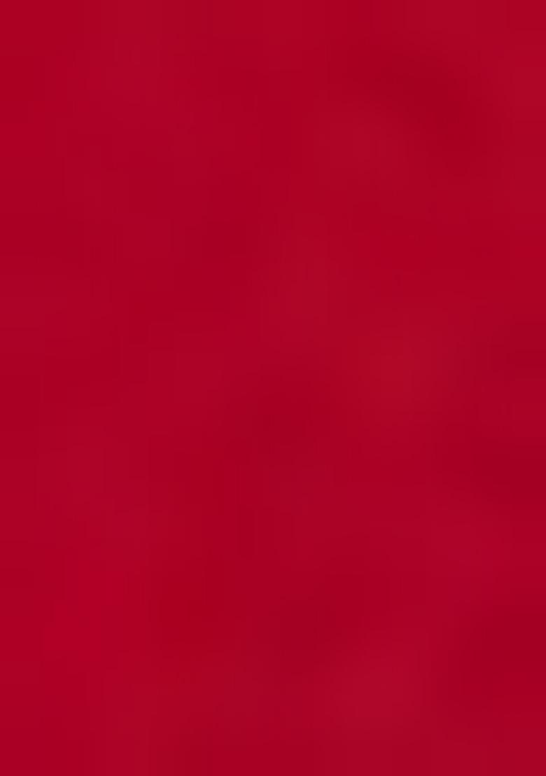 Red Embroidered Georgette Saree Set