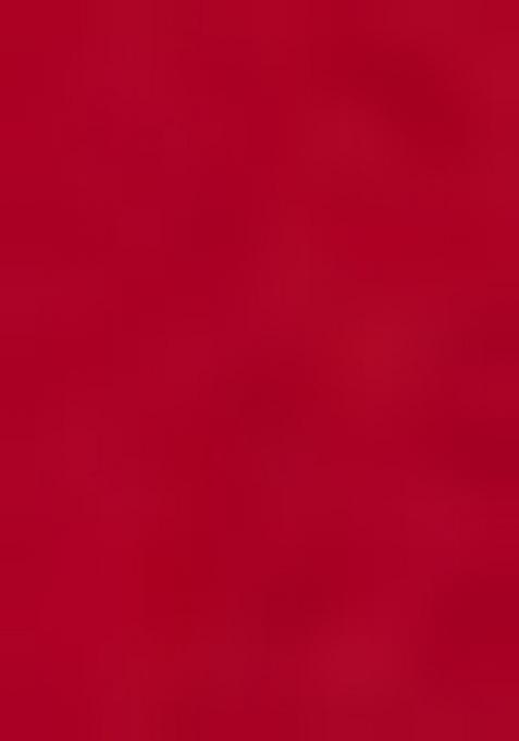 Red Embroidered Georgette Saree Set