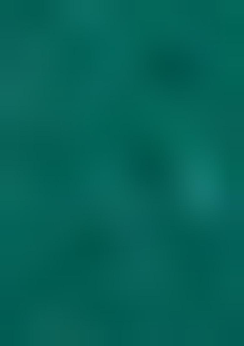 Rama Embroidered Georgette Saree Set - Indya