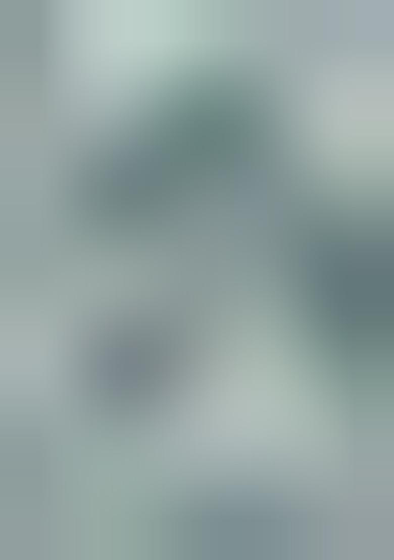 Mint Embroidered Georgette Saree Set - Indya