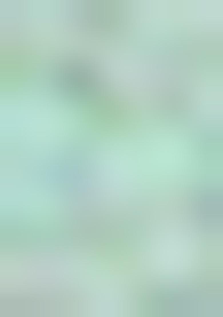 Mint Embroidered Georgette Saree Set - Indya