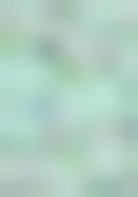 Mint Embroidered Georgette Saree Set