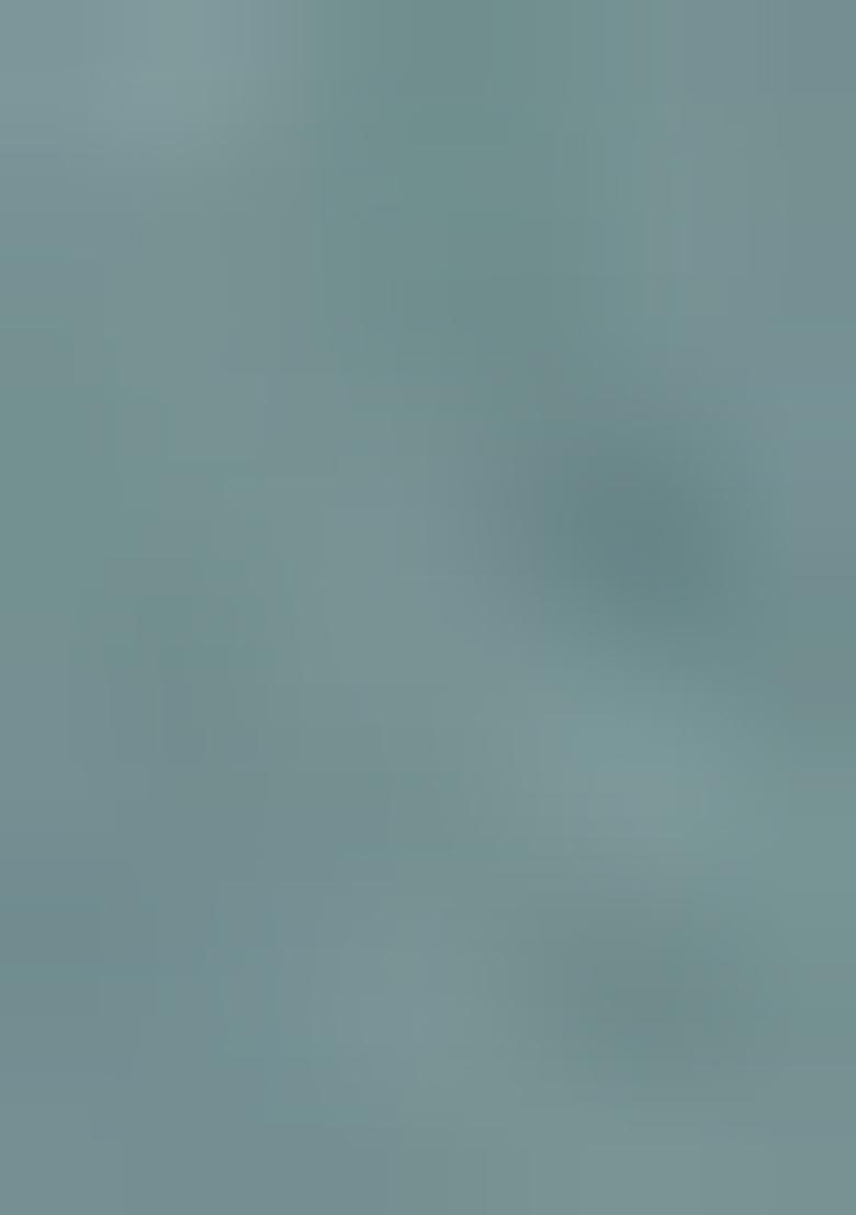 Dusty Firozi Embroidered Organza Soft Silk Saree Set - Indya