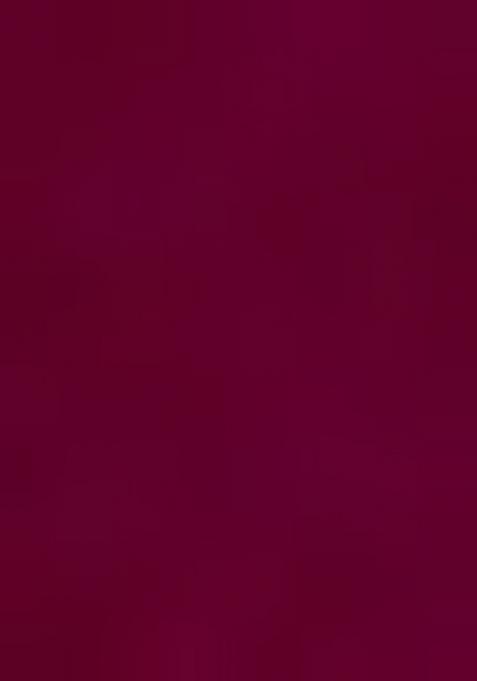 Wine Embroidered Georgette Saree Set