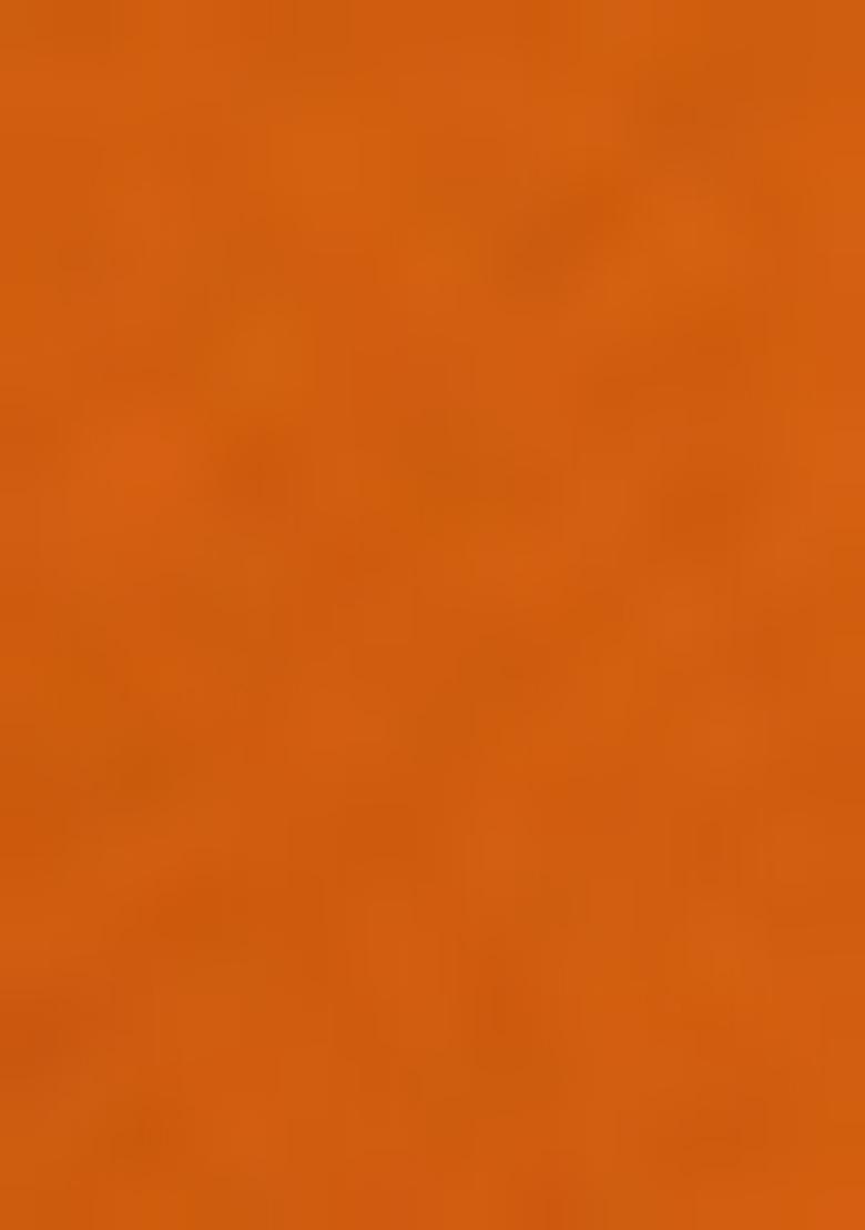 Mustrad Embroidered Georgette Saree Set - Indya