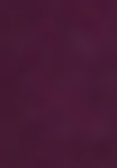 Wine Embroidered Vichitra Silk Saree Set