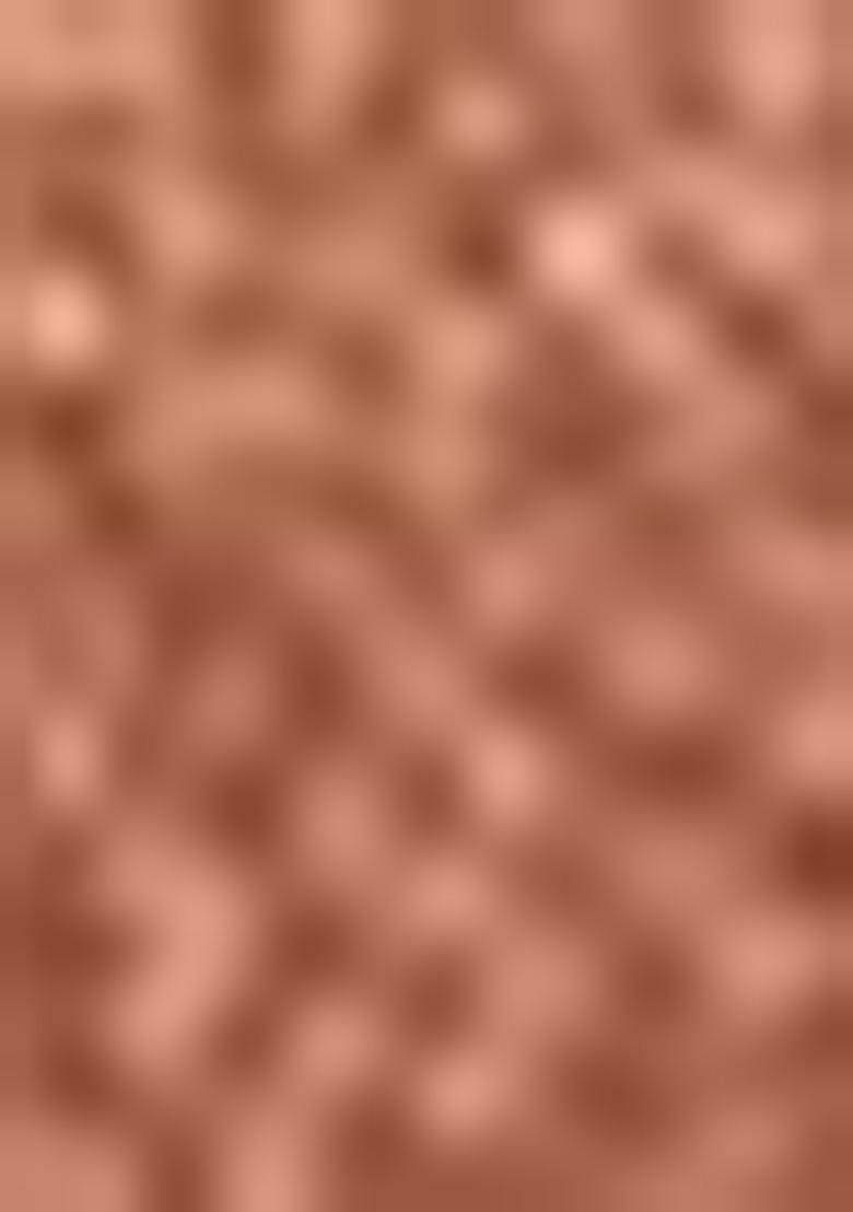 Peach Zari Work Brasso Saree Set - Indya